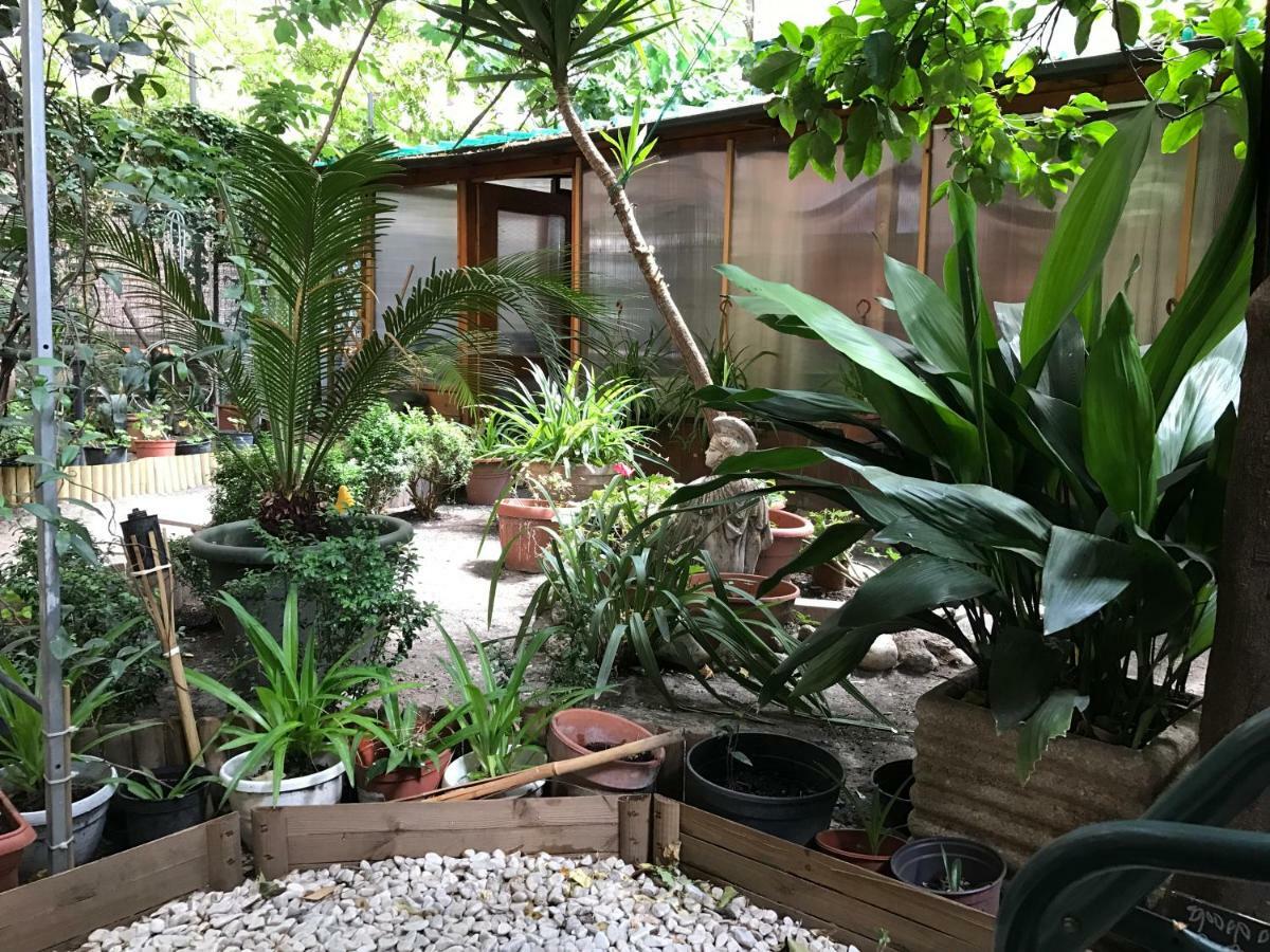 La Casa Di Elena Hotel Rome Luaran gambar